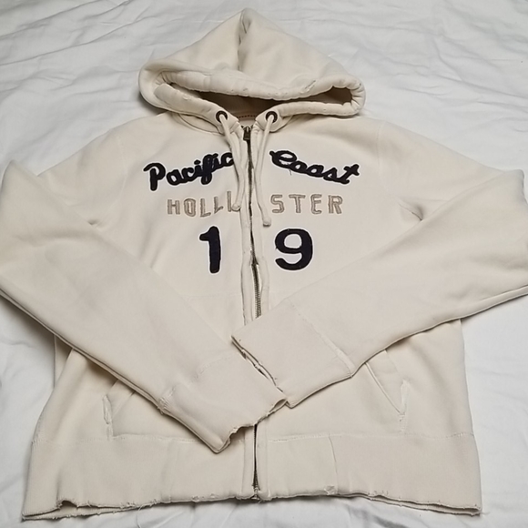 hollister teddy hoodie